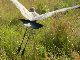 P1140171-1_bearbeitet-1