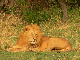 P1140412-1_bearbeitet-1