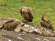 P1140547-1_bearbeitet-1