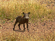 P1170347_bearbeitet-1