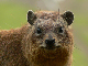 P1170662_bearbeitet-1