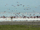 P1170824_bearbeitet-1