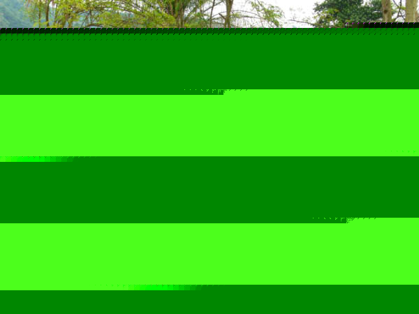 P1180719