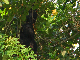 IMG_0923_bearbeitet-1
