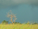 P1180480_bearbeitet-1