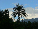 P1180630