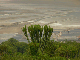 P1190390
